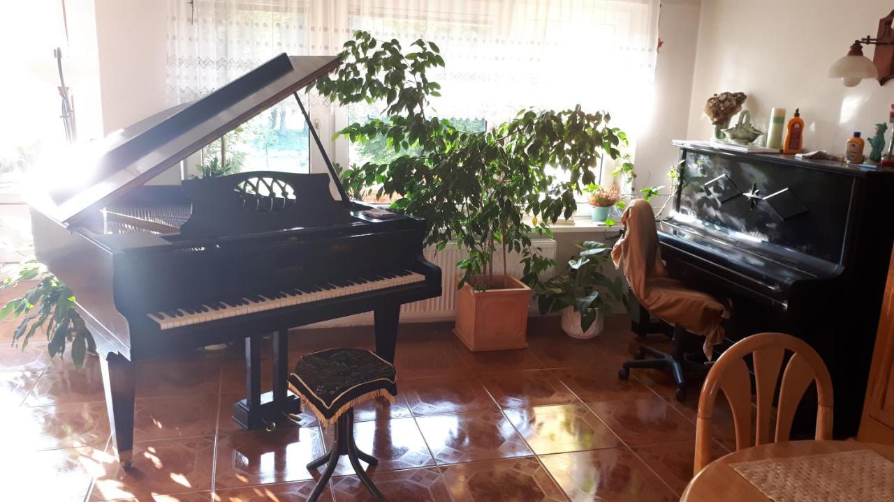 Liptovský MikulášPenzion Pianoアパートメント エクステリア 写真