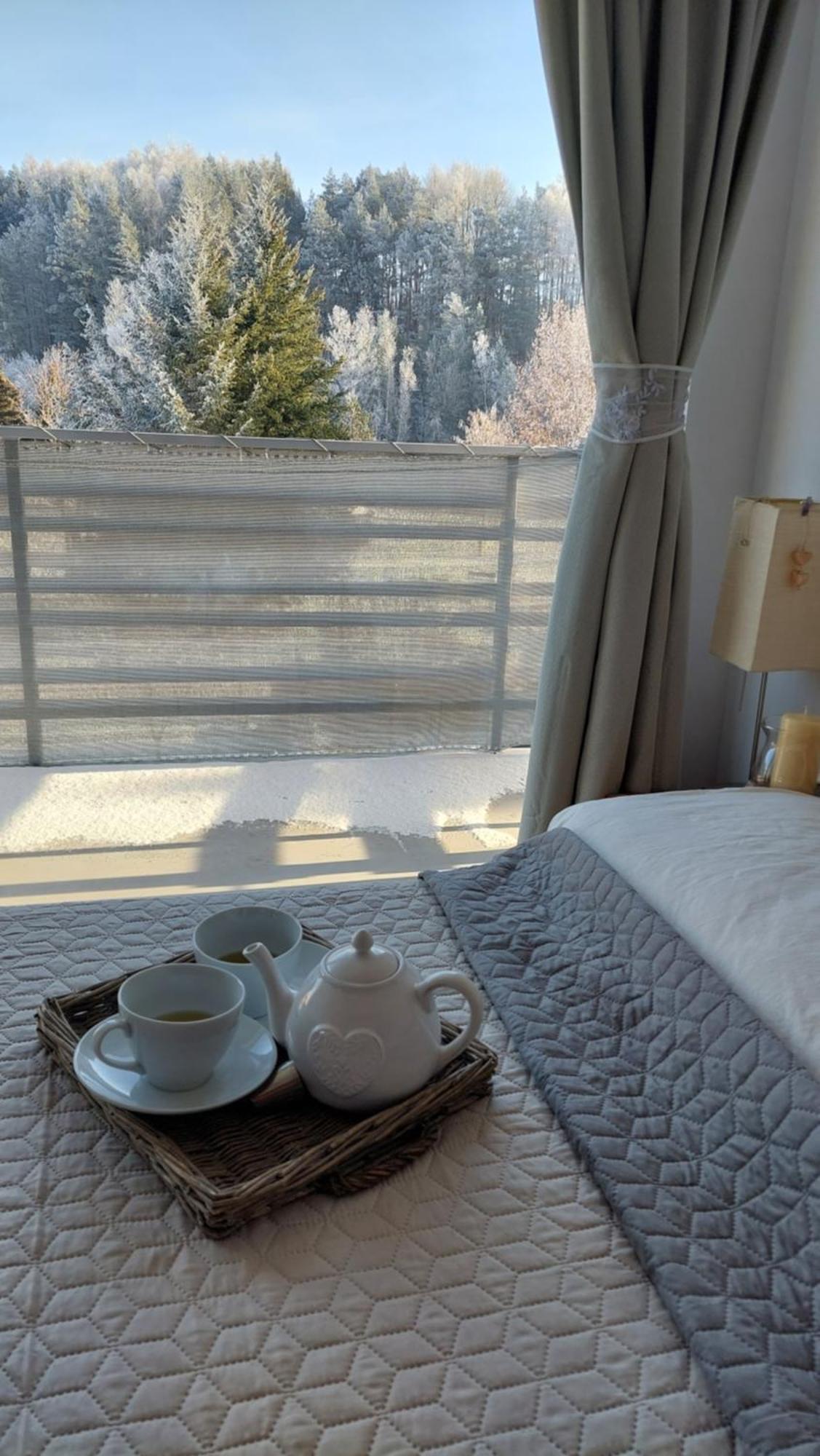 Liptovský MikulášPenzion Pianoアパートメント 部屋 写真